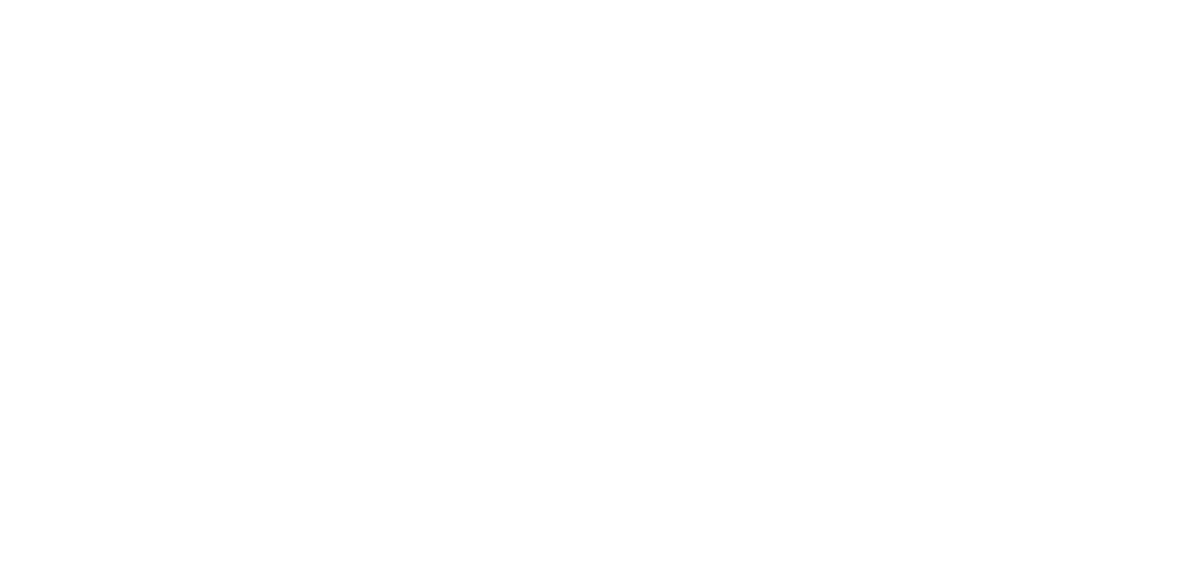 Tribe Digital Ventures